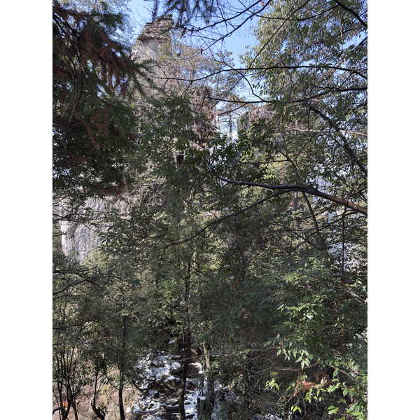 Picture China Zhangjiajie Tianzi Mountrain 2026-01 179 - Journey Tianzi Mountrain