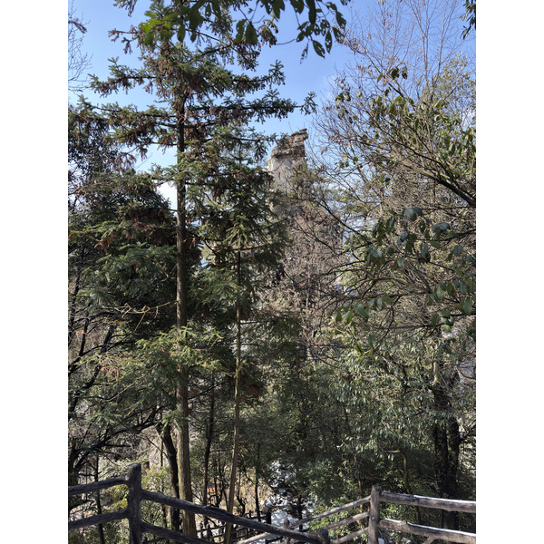 Picture China Zhangjiajie Tianzi Mountrain 2026-01 153 - History Tianzi Mountrain