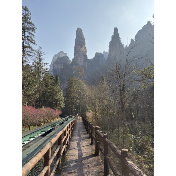 Picture China Zhangjiajie Tianzi Mountrain 2026-01 279 - Tour Tianzi Mountrain