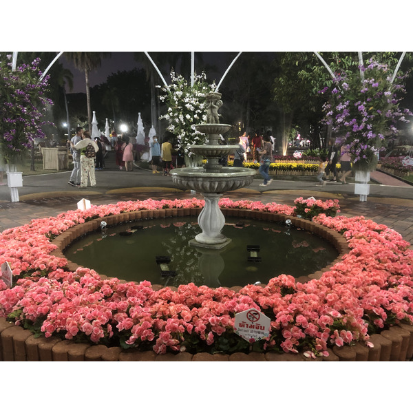 Picture Thailand Chiang Mai Nong Buak Haad Public Park 2024-01 30 - Recreation Nong Buak Haad Public Park