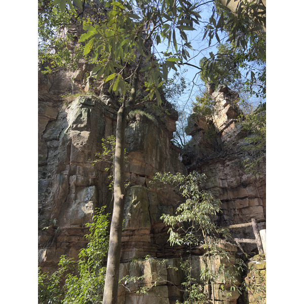 Picture China Zhangjiajie Tianzi Mountrain 2026-01 241 - Discovery Tianzi Mountrain
