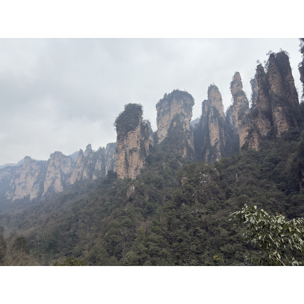 Picture China Zhangjiajie 2026-01 86 - Tours Zhangjiajie