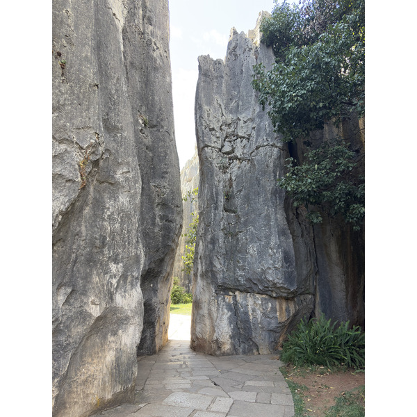 Picture China Shilin Stone Forest 2026-01 159 - Journey Shilin Stone Forest