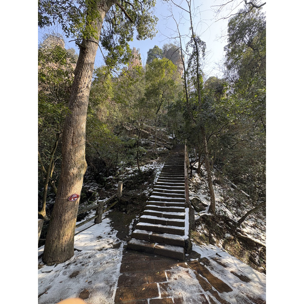 Picture China Zhangjiajie Tianzi Mountrain 2026-01 77 - Recreation Tianzi Mountrain