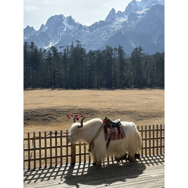 Picture China Lijiang Blue moon valley 2026-01 132 - Tour Blue moon valley