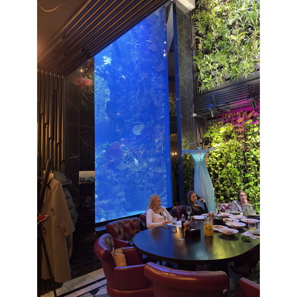 Picture Ukraine Lviv Restaurants 2024-10 110 - Recreation Restaurants