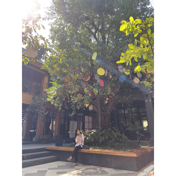Picture Thailand Chiang Mai Kalm 2024-12 38 - History Kalm