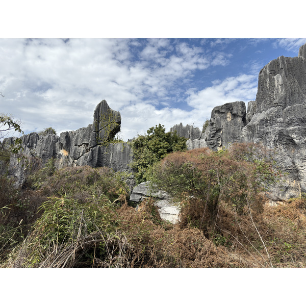 Picture China Shilin Stone Forest 2026-01 134 - Tour Shilin Stone Forest