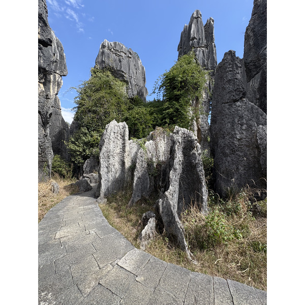 Picture China Shilin Stone Forest 2026-01 8 - Tour Shilin Stone Forest