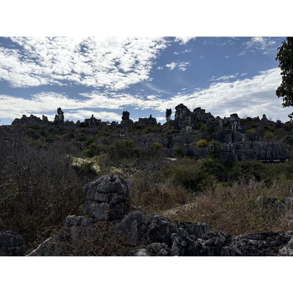 Picture China Shilin Stone Forest 2026-01 346 - Journey Shilin Stone Forest