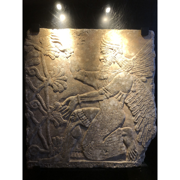 Picture Italy Rome Vatican Museum 2024-09 368 - Tours Vatican Museum