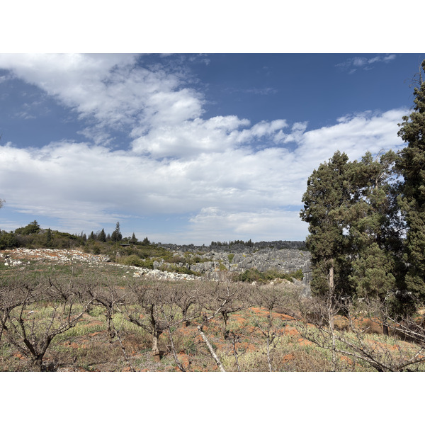 Picture China Shilin Stone Forest 2026-01 291 - History Shilin Stone Forest