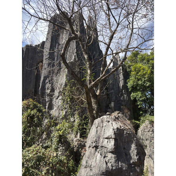 Picture China Shilin Stone Forest 2026-01 58 - History Shilin Stone Forest