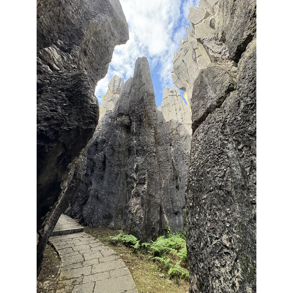 Picture China Shilin Stone Forest 2026-01 246 - Center Shilin Stone Forest
