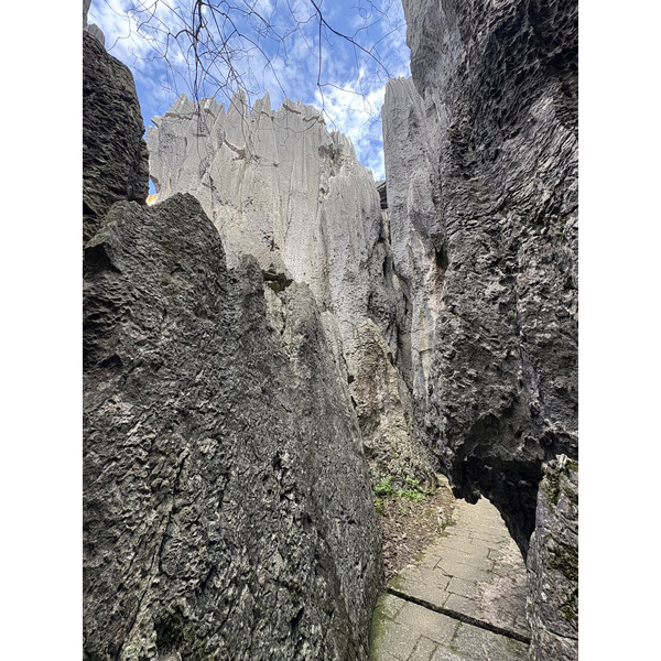 Picture China Shilin Stone Forest 2026-01 170 - Center Shilin Stone Forest