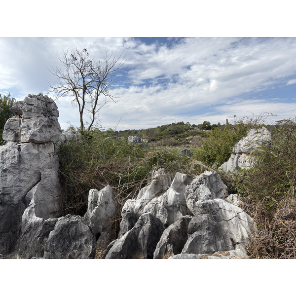 Picture China Shilin Stone Forest 2026-01 158 - Tour Shilin Stone Forest