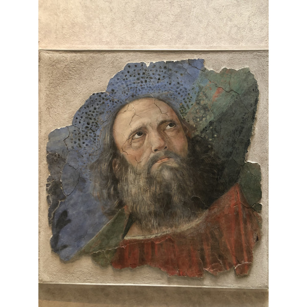 Picture Italy Rome Vatican Museum 2024-09 248 - History Vatican Museum
