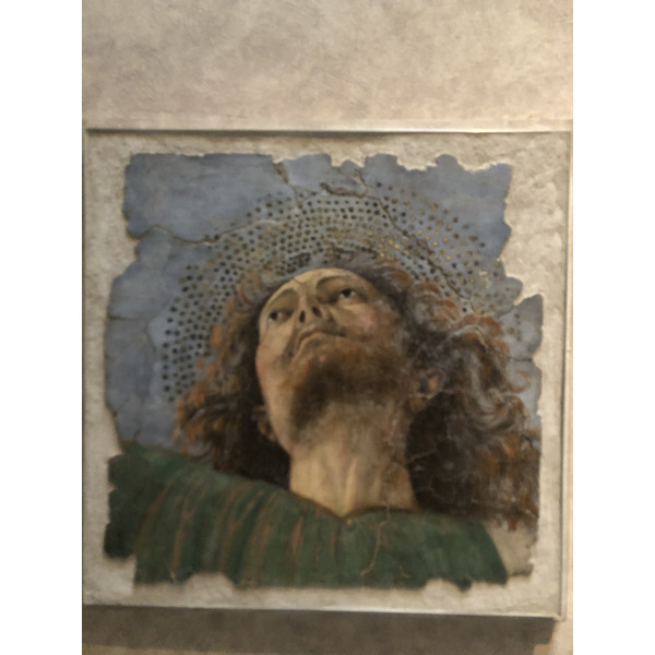 Picture Italy Rome Vatican Museum 2024-09 337 - Tour Vatican Museum
