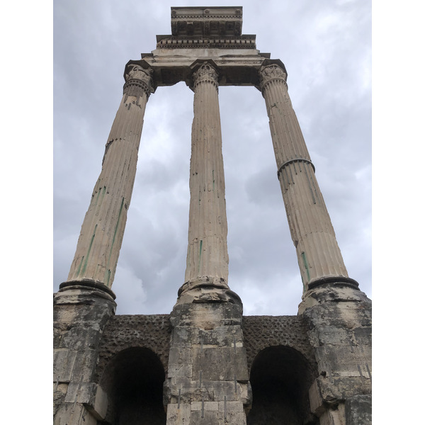 Picture Italy Rome Roman Forum 2024-09 134 - Around Roman Forum
