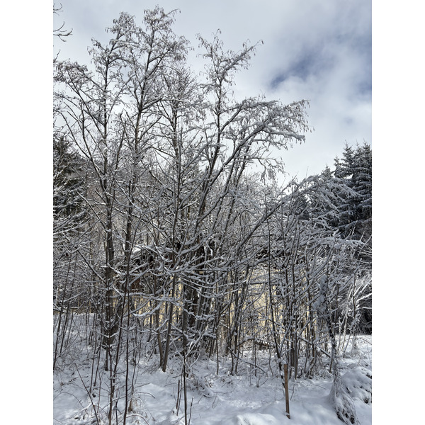 Picture France Praz sur Arly 2025-02 13 - Recreation Praz sur Arly