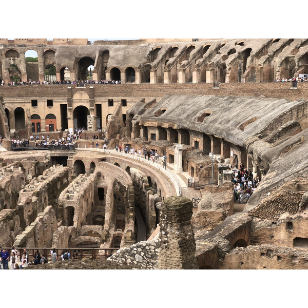 Picture Italy Rome The Colosseum 2024-09 37 - Discovery The Colosseum