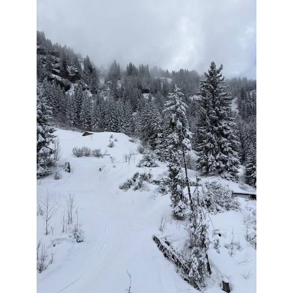 Picture France Praz sur Arly 2025-02 96 - Recreation Praz sur Arly