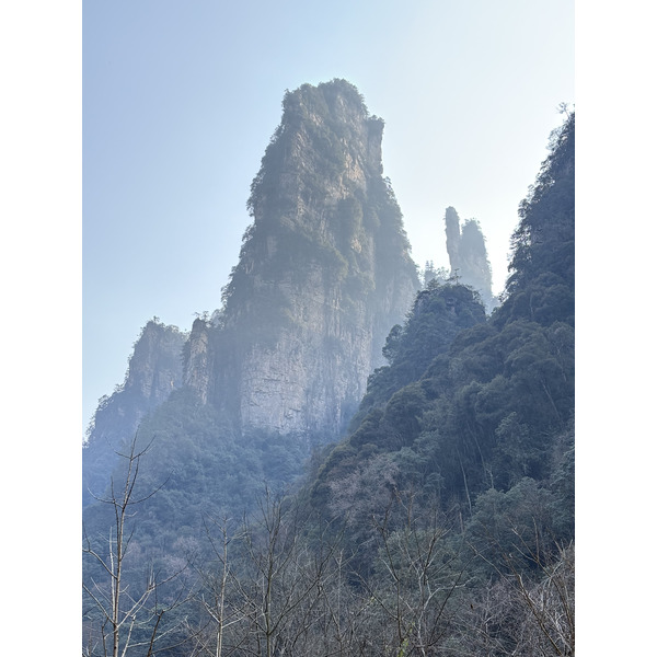 Picture China Zhangjiajie Tianzi Mountrain 2026-01 148 - Tour Tianzi Mountrain