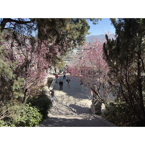 Picture China Lijiang 2026-01 588 - Tour Lijiang
