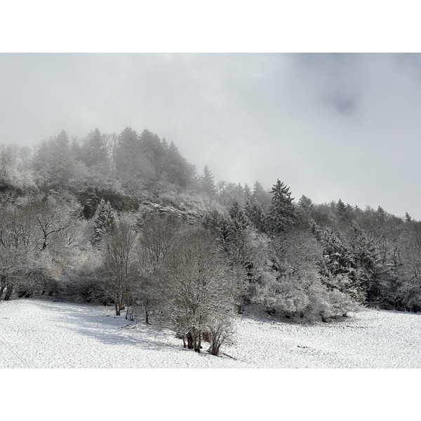 Picture France Praz sur Arly 2025-02 38 - Tour Praz sur Arly