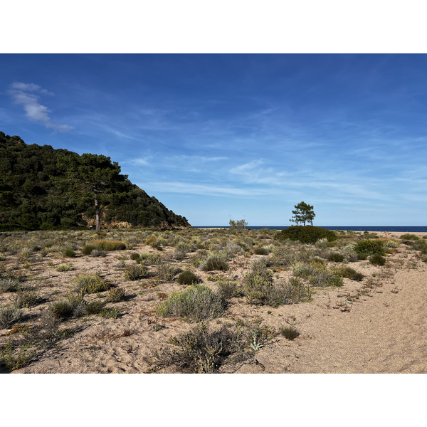 Picture France Corsica Ovu Santu Beach⁩ 2024-05 6 - Center Ovu Santu Beach⁩
