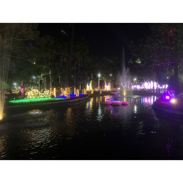 Picture Thailand Chiang Mai Nong Buak Haad Public Park 2024-01 42 - Tour Nong Buak Haad Public Park
