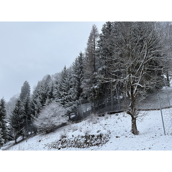 Picture France Praz sur Arly 2025-02 62 - Tour Praz sur Arly