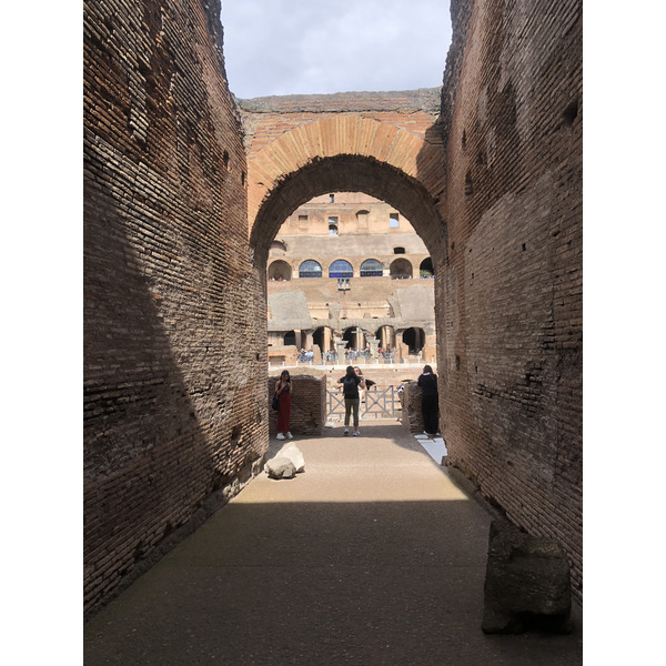 Picture Italy Rome The Colosseum 2024-09 42 - History The Colosseum