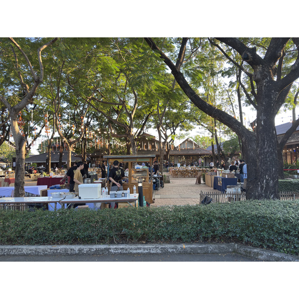 Picture Thailand Chiang Mai 2026-01 3 - Tour Chiang Mai