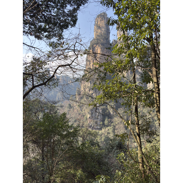Picture China Zhangjiajie Tianzi Mountrain 2026-01 85 - Journey Tianzi Mountrain