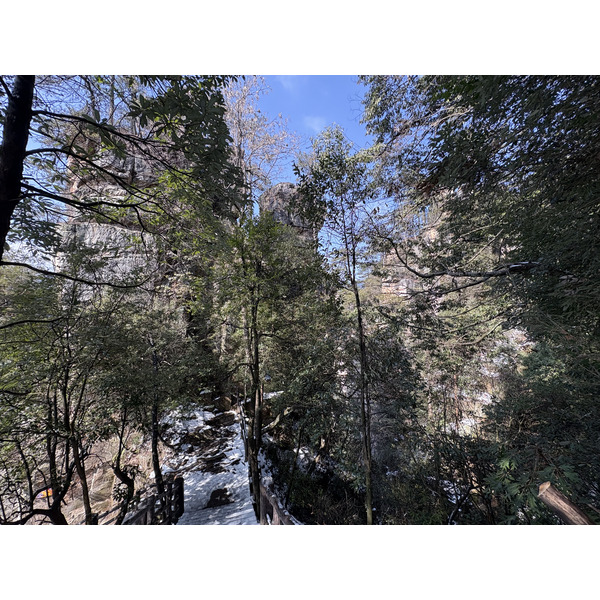 Picture China Zhangjiajie Tianzi Mountrain 2026-01 160 - Discovery Tianzi Mountrain