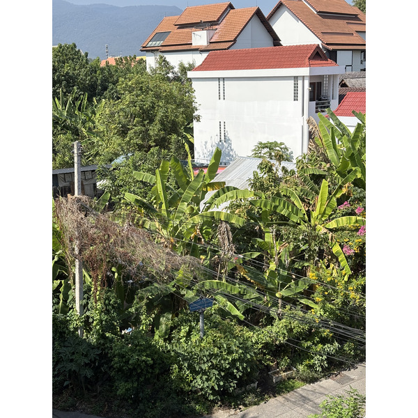 Picture Thailand Chiang Mai Kalm 2024-12 21 - Tours Kalm
