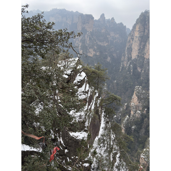Picture China Zhangjiajie 2026-01 106 - Discovery Zhangjiajie