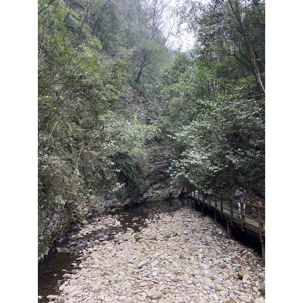 Picture China Zhangjiajie Grand Canion 2026-01 34 - History Grand Canion