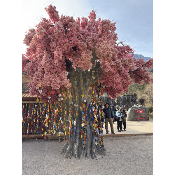 Picture China Lijiang Blue moon valley 2026-01 156 - Tours Blue moon valley