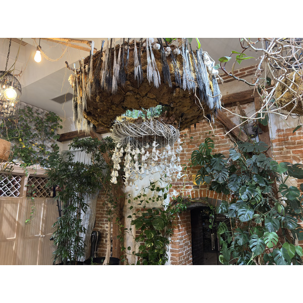 Picture Ukraine Lviv Restaurants 2024-10 158 - History Restaurants