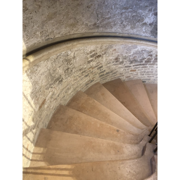 Picture Italy Urbino 2024-09 257 - Tours Urbino