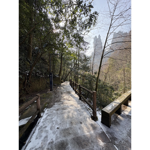 Picture China Zhangjiajie Tianzi Mountrain 2026-01 385 - Discovery Tianzi Mountrain