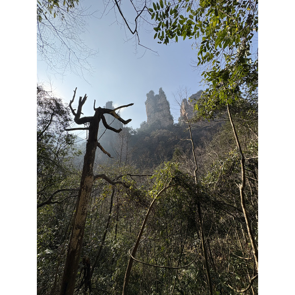 Picture China Zhangjiajie Tianzi Mountrain 2026-01 382 - Around Tianzi Mountrain