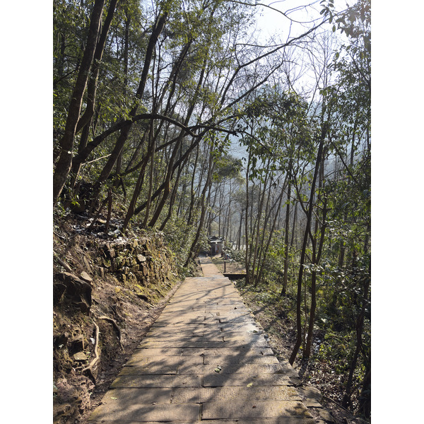 Picture China Zhangjiajie Tianzi Mountrain 2026-01 4 - Tour Tianzi Mountrain