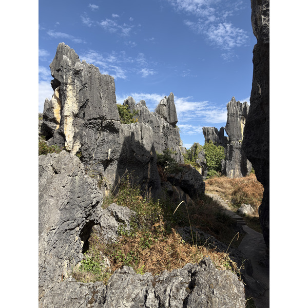 Picture China Shilin Stone Forest 2026-01 0 - Center Shilin Stone Forest