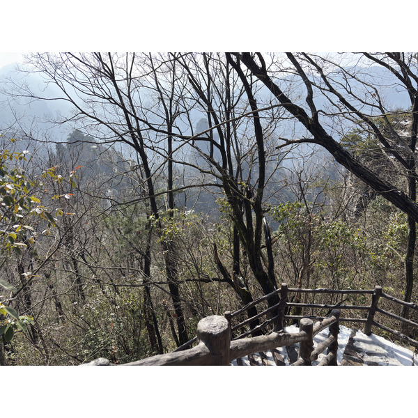 Picture China Zhangjiajie Tianzi Mountrain 2026-01 140 - Tour Tianzi Mountrain