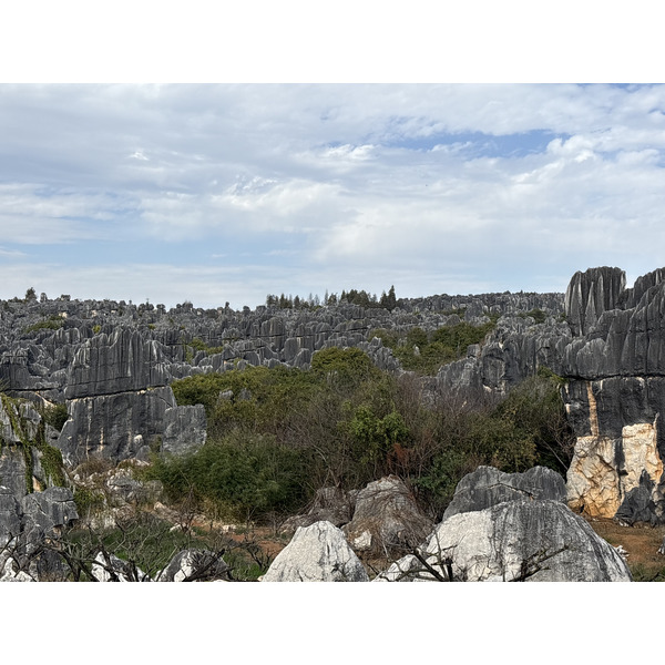 Picture China Shilin Stone Forest 2026-01 45 - Tour Shilin Stone Forest