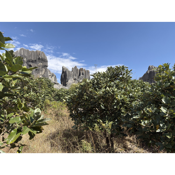 Picture China Shilin Stone Forest 2026-01 259 - Discovery Shilin Stone Forest