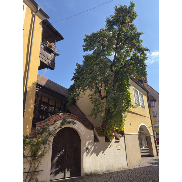 Picture Germany Ellwangen 2025-09 0 - Journey Ellwangen